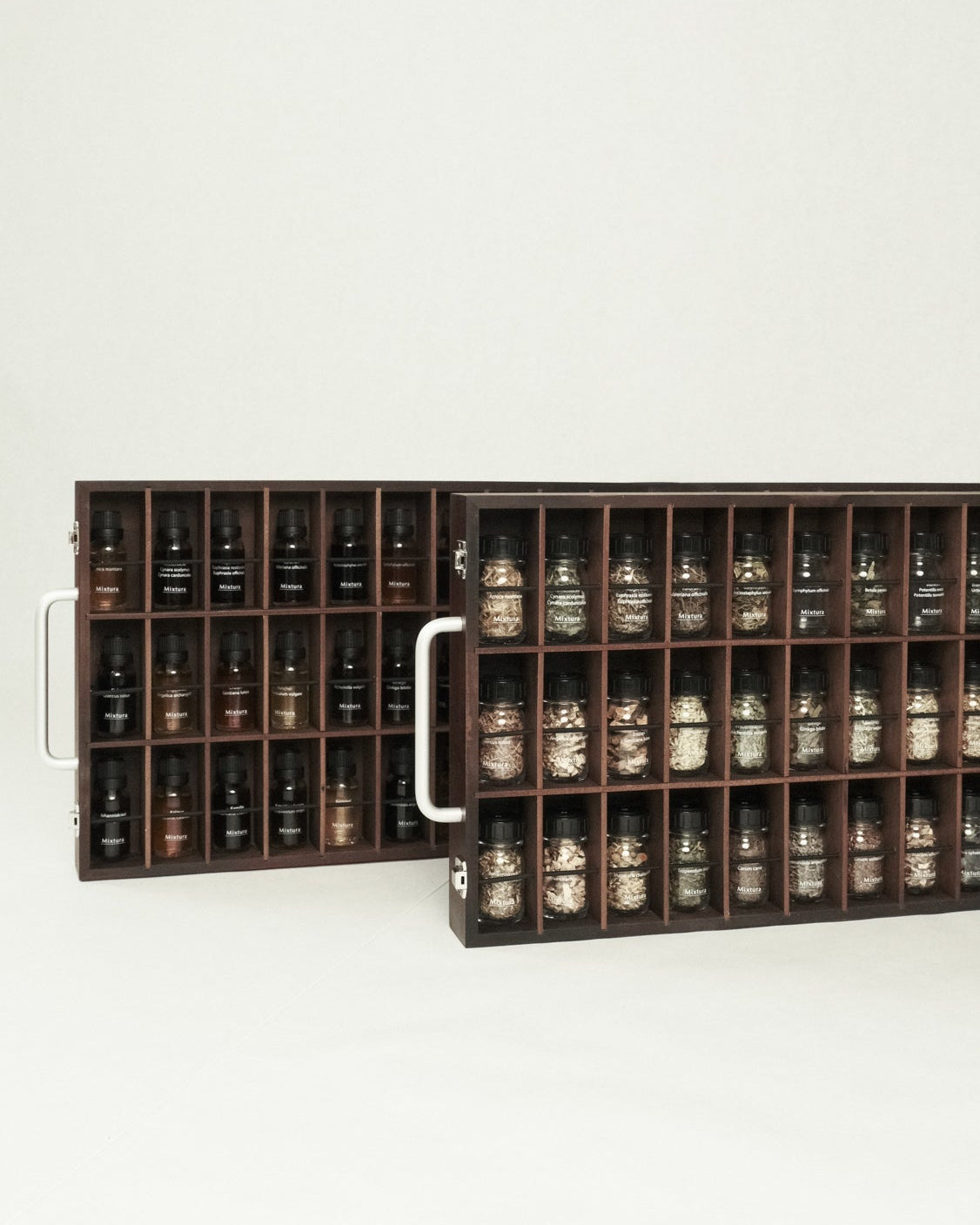 Herbarium-Koffer Set – Tee & Tinktur