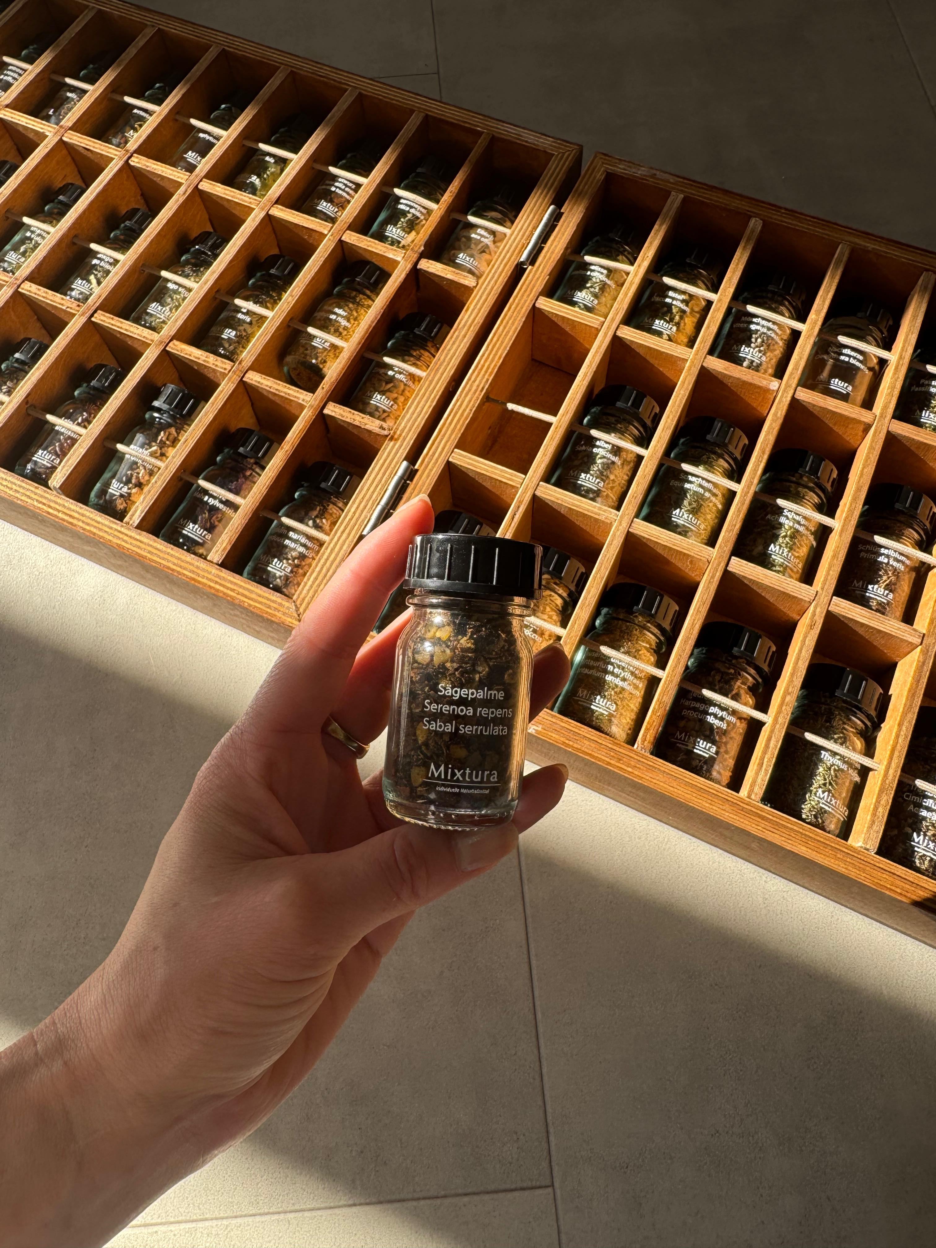 Mixtura Herbarium-Koffer Tee