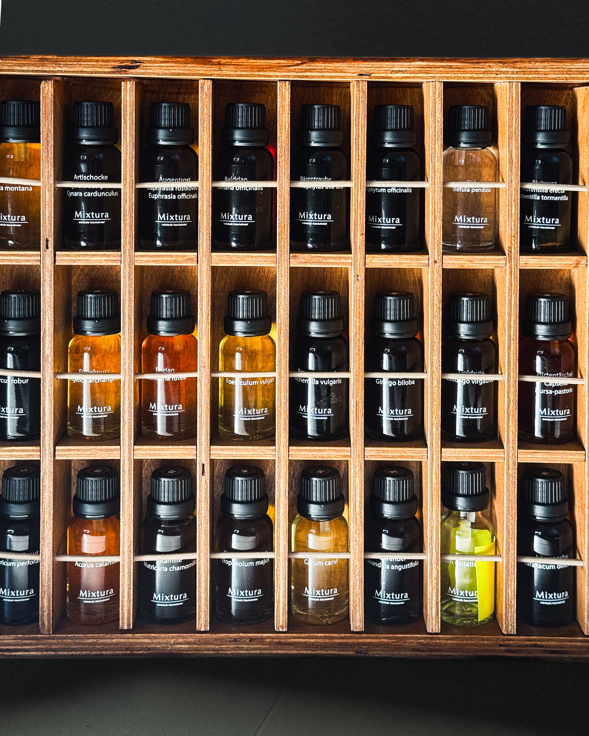 Mixtura Herbarium-Koffer Tinkturen